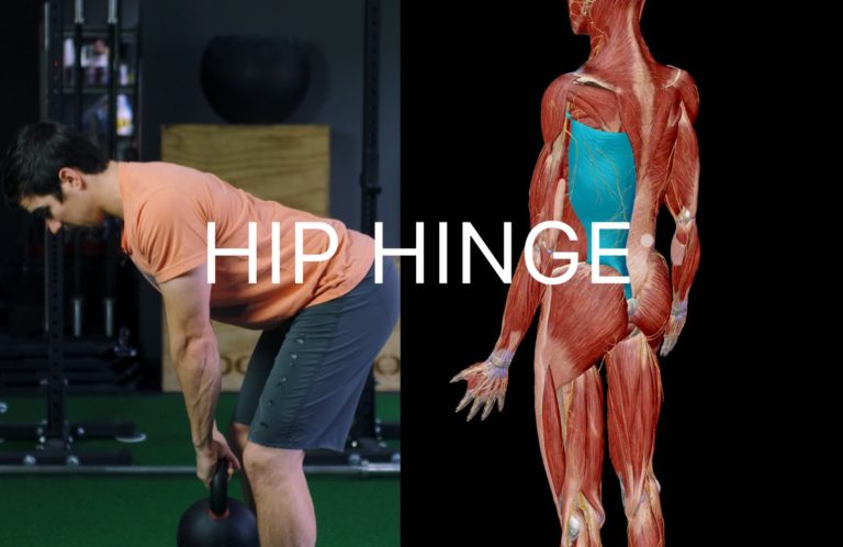 Recharge Essentials Hip Hinge Course | WC - Recharge
